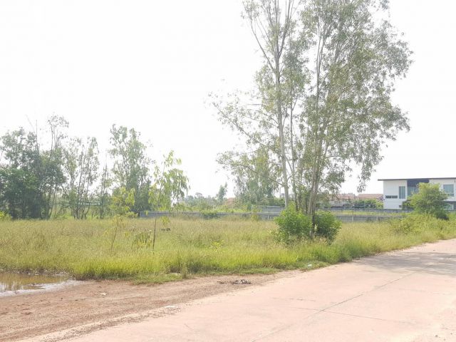 ขายที่ดิน 7 ไร่ ติดหมู่บ้านลิเวลโล่ อ.เมือง จ.อุดรธานี