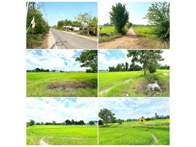 ที่ดินโฉนด เเปลงสวย 4ไร่กว่า 500,000 ติดถนน ติดคลองน้ำ เขตชุมชน ใกล้ถนนเพชรเกษม ปากท่อ ราชบุรี