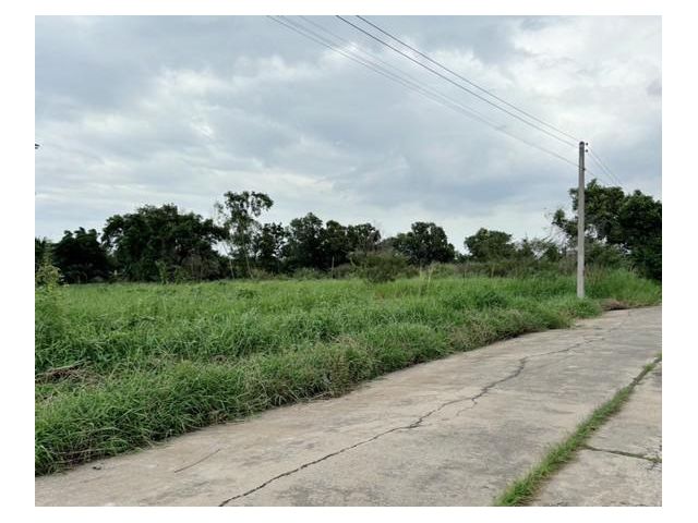 ขายที่ดินคลองสี ฝั่งตะวันออก คลองหลวง ปทุมธานี เนื้อที่ 850 ตาราง