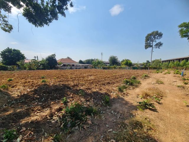 ขายที่ดินฝั่งทะเล บางละมุงเนื้อที่ 5 ไร่ ซ.สุขุมวิท-บางละมุง31 ใกล้ถ.สุขุมวิท3-1.1กม อ.บางละมุง ชลบุรี