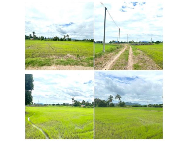 ขายที่ดินเหมาะปลูกบ้าน ทำสวน เกือบ 2ไร่ วิวสวย เขตชุมชน ใกล้ถนนเพชรเกษม ปากท่อ ราชบุรี