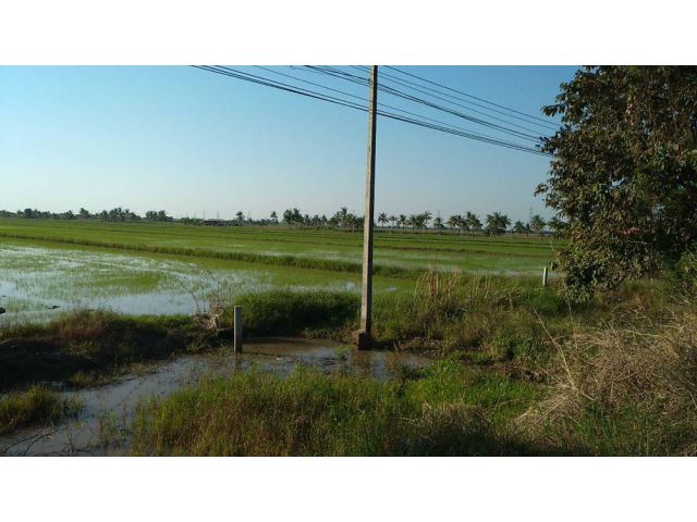 ขายที่ดินถูก 4 ไร่ ด่วน!!! ติดถนนใหญ่