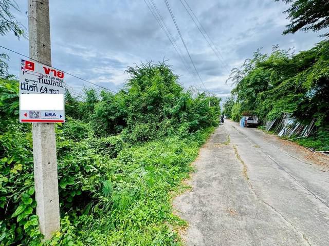 ขายที่ดิน   ตำบลช่องสะแก อำเภอเมืองเพชรบุรี  จังหวัดเพชรบุรี