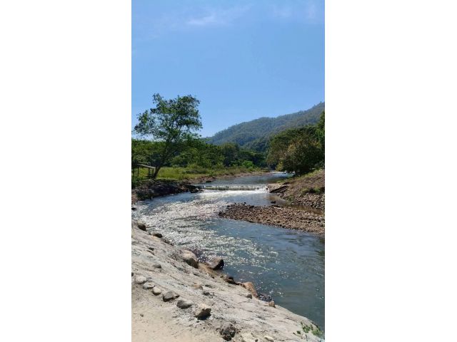 ขายที่ดินติดน้ำแม่กวงตำบลป่าเมี่ยงดอยสะเก็ตพร้อมโอน