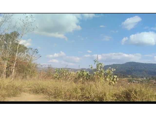 ด่วนที่สุด ขายที่ดิน วิวดาวบนดินเขาค้อ จำนวน 35 ไร่