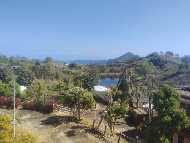 ด่วนที่สุด ขายรีสอร์ทติดทางขึ้นเขาค้อ ทล. 2196 วิวกังหันลม จำนวน 9 ไร่