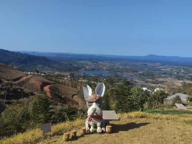 ด่วนที่สุด ขายที่ดินหลังไปรษณีย์เขาค้อ  วิว ณ จุดชมวิว จำนวน 10 ไร่