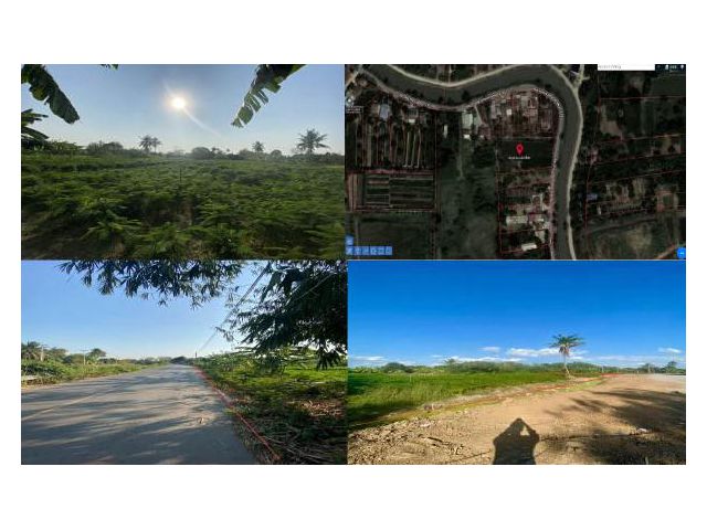 ที่ดิน 2 ไร่ 1 งาน 60 ตรว ติดถนน ต.ตะลุง อ.เมืองลพบุรี