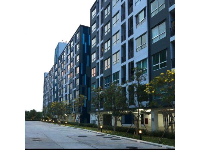 ขายคอนโด The Kith Plus พหลโยธิน-คูคต โครงการ D เฟสใหม่ เฟอร์นิเจอร์ครบ | Digital Door Lock ทำเลดีใกล้ BTS คูคต