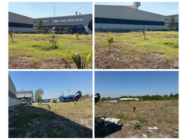 ขายที่ดิน บางนา กม.25 (พื้นที่สีแดง) เนื้อที่ 4 ไร่ 3 ตรว. ติดถนนบางนา-ตราด ฝั่งขาออก โทร 090-6360022