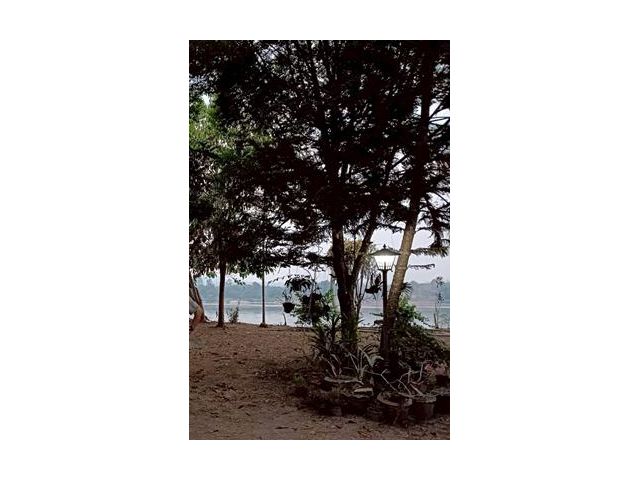 ขาย ที่ดินติดโขง  เชียงคาน 4-0-87 ไร่