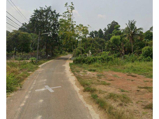 ขายที่ดินท่าถ่าน 2 ไร่ ติดถนนลาดยาง ใกล้ถนนเส้น319-1.1กม. อ.พนมสารคาม ฉะเชิงเทรา