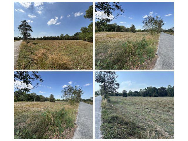 ขายที่ดินราคาถูก นครนายก 13 ไร่ 63 ตร.ว. ยกแปลกหรือแบ่งก็ได้ โทร 089-7411750