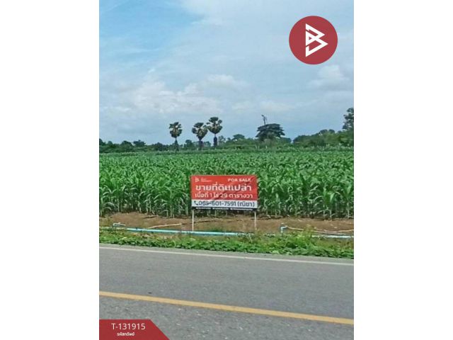 1 ไร่ 29.0 ตารางวา