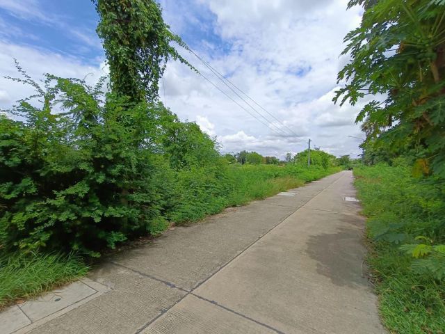 ที่ดินจังหวัดสุพรรณบุรี ทำเลใจกลางเมือง ราคาคุยกันก่อนได้