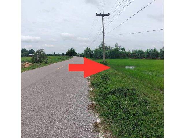 ที่นาจังหวัดร้อยเอ็ด 33 ไร่ อำเภอสุวรรณภูมิ ราคาต่อรองได้