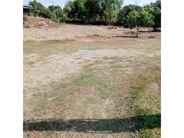 ขายที่ดินด่วน 1 ไร่ ราคา 1300000 ติดถนน ถมแล้ว โทร 0863989624