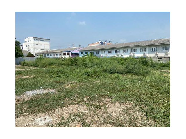 ขายด่วนที่ดินเปล่า ถมแล้ว คูคต คลองสอง ลำลูกกา ปทุมธานี 195 ตร.ว. โฉนดพร้อมโอน สามารถซื้อรวม 3 แปลง 975 ตร.ว.