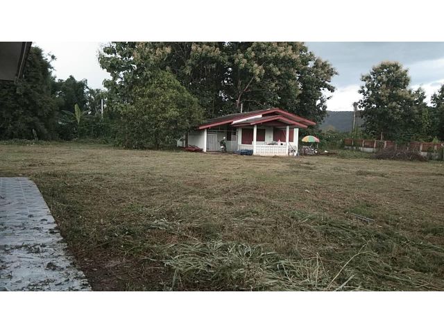 ขายด่วน! ที่โฉนดติดถนนทางหลวงชนบทสายบ้านใหม่เจริญมิตร-บ้านเจริญเมือง 8-1-50 ไร่+บ้าน 3 หลัง ต.เจริญเมือง อ.พาน จ.เชียงราย 3,000,000.- เท่านั้น