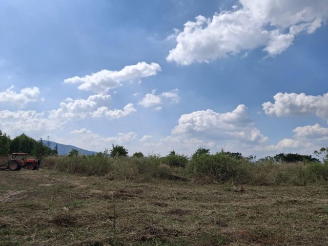 ขายด่วน!! ที่ดิน ภ.บ.ท.5 สวยๆ 161 ไร่ ต.รางบัว อ.จอมบึง จ.ราชบุรี แบ่งขายแปลงละ 50 ไร่ ขึ้นไป ราคาไร่ละ 180,000 เท่านั้น