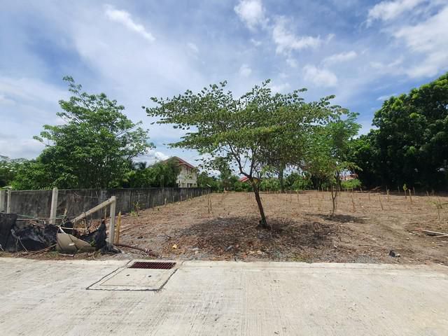 ขายที่ดินพุทธมณฑลสาย 5 สามพราน นครปฐม ขนาด 493 ตารางวา ถมแล้ว