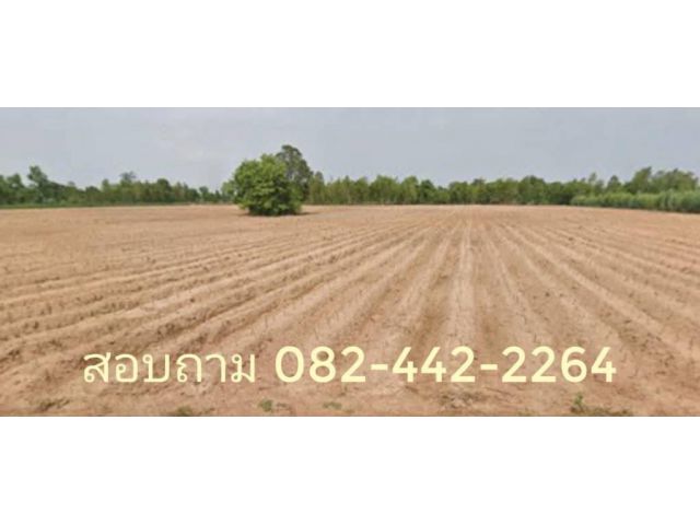 ขายที่ดินแปลงใหญ่ 34 ไร่ 2 งาน 30 ตร.วา จ.อุดรธานี