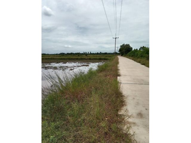 ขายที่ดินแปลงสวย 107 ไร่เศษ ต.ดงน้อย อ.ราชสาสน์ จ.ฉะเชิงเทรา ใกล้ตัวอำเภอเมืองราสาสน์