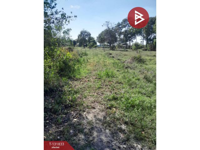 ขายที่ดิน เนื้อที่ 3 ไร่ 1 งาน 47.1 ตารางวา ต.ตะพง ระยอง