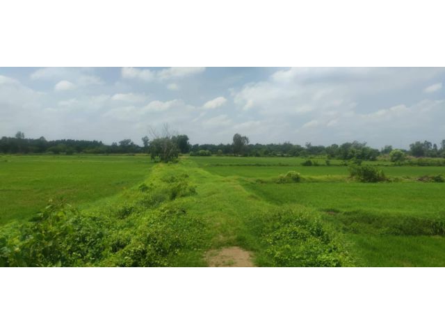 L1522 ขายที่ดินทำเลดี 22 ไร่ เมืองปราจีนบุรี