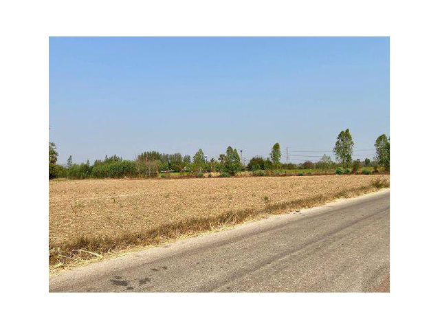 ขายที่ดิน 3 ไร่ ต.เขาขลุง อ.บ้านโป่ง จ.ราชบุรี