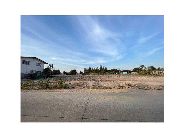 ขายที่ดิน 7 ไร่ ติดถนนทงตีนเป็ด ใกล้ถนนมอเตอร์เวย์ ต.หนองรี อ.เมืองชลบุรี จ.ชลบุรี