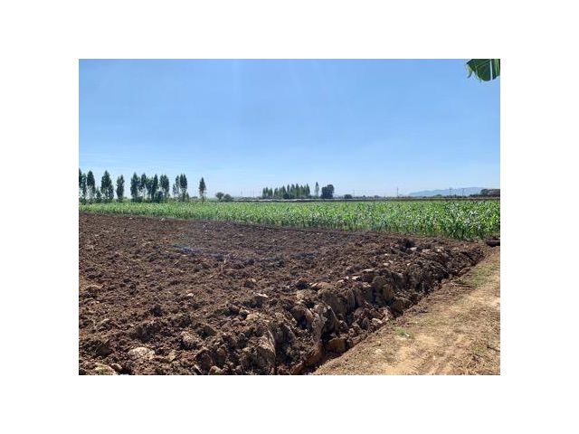 ขายที่ดิน16ไร่ ต.วังศาลา อ.ท่าม่วง แปลงสวย ทำเลดี แหล่งชุมชน ใกล้กรุงเทพ คมนาคมสะดวก