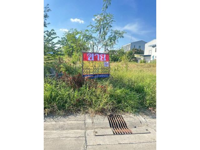 ขายที่ดิน 392 ตารางวา  ถนนเฉลิมพระเกียรติร.9  ซอย 48 แยก7