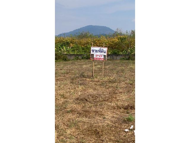 ขายที่ดิน1ไร่2งาน50ตรวติดถนนอยู่ บางบุตร บ้านค่าย ระยอง