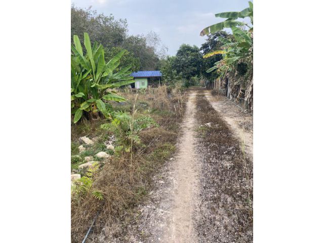 ขายถูกที่ดิน2ไร่1งาน52ตรว อยู่ชากบก บ้านค่าย ระยอง