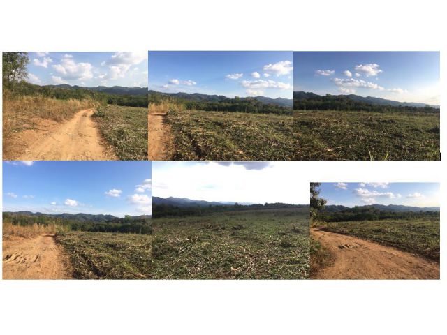 ขายที่ดิน 42 ไร่ วิวภูเขา 360 องศา ที่ดินเป็นเนินหลังเต่า มองวิวทิวทัศน์รอบด้าน ที่สูงวิสวย ถนนสายลำปางไปเชียงราย