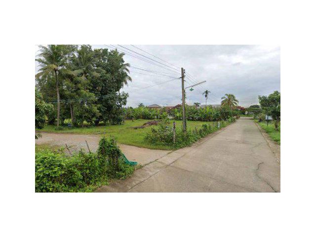 ขายที่ดิน 5 ไร่ ใกล้โรงพยาบาลแม่จัน ต.แม่จัน อ.แม่จัน จ.เชียงราย