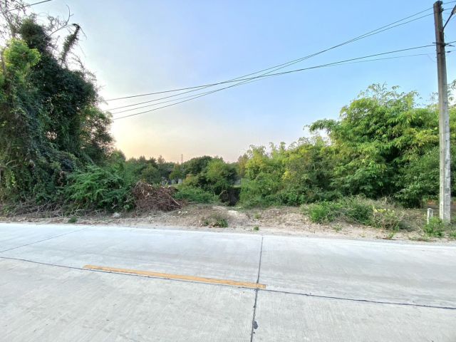 ขายที่ดินตะพง 1 ไร่ ติดถนนคอนกรีต ใกล้ถนนเส้นสุขุมวิท3-5กม. อ.เมืองระยอง จ.ระยอง