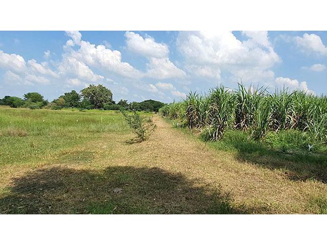 32.18 ไร่ ติดทางติดคลอง ใกล้ ม. เกษตร ใกล้มอเตอร์เวย์ (ฟรีที่ครอบครองอีกหลายไร่)