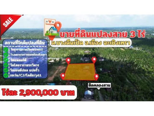 ขายที่ดินแปลงสวย ต.บางตีนเป็ด อ.เมือง จ.ฉะเชิงเทรา เนื้อที่ 3 ไร่ 9 ตร.ว. โทร 081-435-2828
