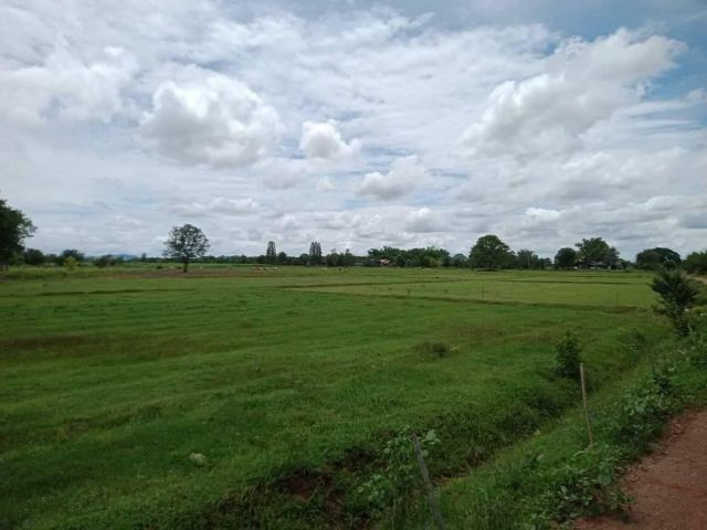 L1534 ขายที่ดิน 23 ไร่ หน้ากว้าง 240 เมตร จอมบึง ราชบุรี