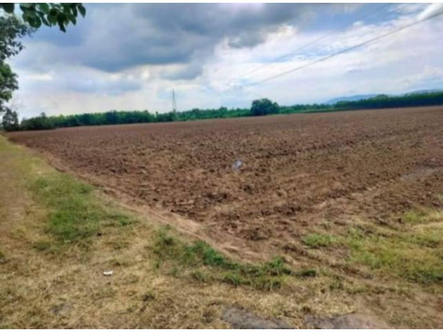 L1535 ขายที่ดินทำเลดี 72 ไร่ กบินทร์บุรี ปราจีนบุรี