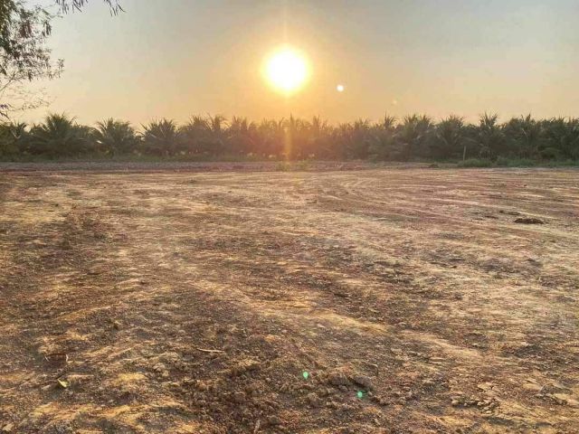 L1536 ขายที่ดินถมแล้ว 2 ไร่ เมืองราชบุรี