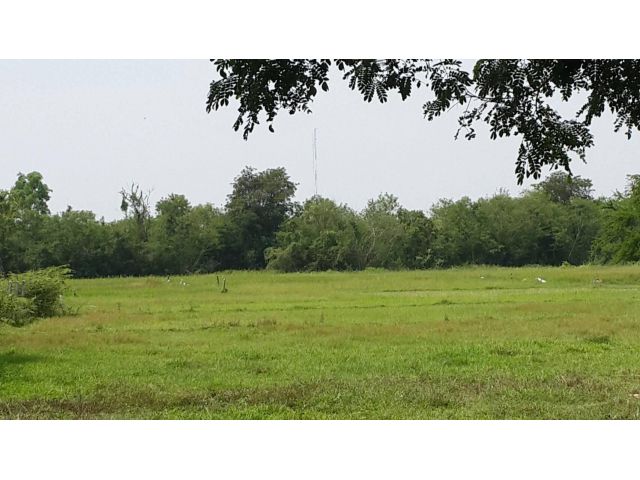 ขายที่ดินเปล่า ติดซุปเปอร์ขึ้นเชียงใหม่สายเดียวเท่านั้น หน้ากว้าง 145 เมตร ผังเมืองสีชมพู 68 ไร่