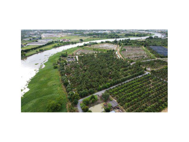 ขายที่ดิน 10 ไร่ ติดแม่น้ำท่าจีน ซอยวัดเทียนดัด-อ้อมใหญ่ อ.สามพราน จ.นครปฐม