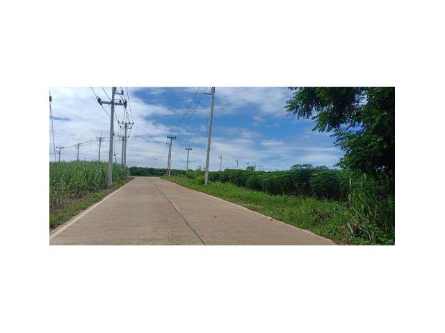 ขายที่ดิน 700 ไร่ ผังสีม่วง ใกล้นิคมอุตสาหกรรมโรจนะหนองใหญ่ อ.หนองใหญ่ จ.ชลบุรี