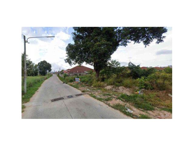 ขายที่ดิน 10 ไร่ ซอยบุญสัมพันธ์ 1 เมืองพัทยา ต.หนองปรี อ.บางละมุง จ.ชลบุรี