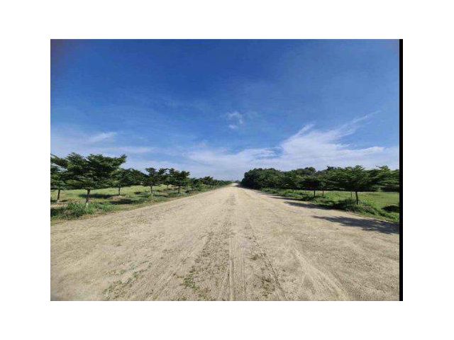 ขายที่ดิน 280 ไร่ ติดถนนลาดยาง ต.คลองกิ่ว อ.บ้านบึง จ.ชลบุรี