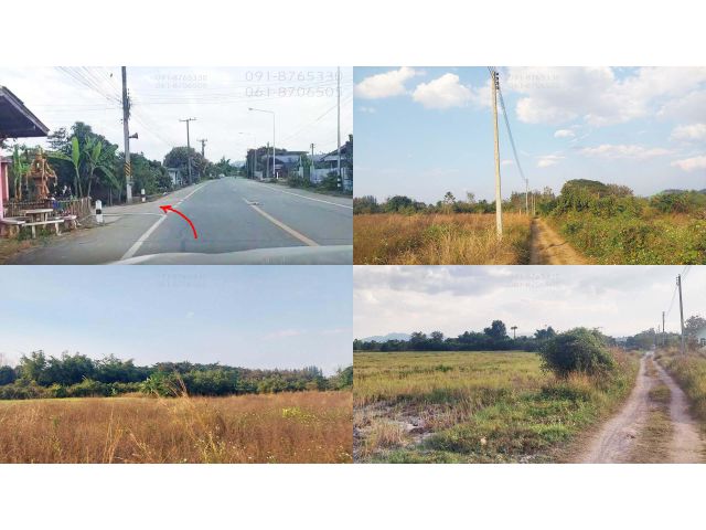 ขายที่ดิน 2ไร่ 124ตรว อ.ป่าซาง จ.ลำพูน เหมาะปลูกบ้าน ใกล้ถนนหลัก ใกล้ชุมชน เห็นวิวเขาสวย ขายถูกราคาถูก