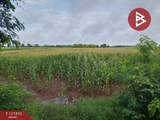 ขายที่ดิน เนื้อที่ 17 ไร่ 85 ตร.วา โนนไทย นครราชสีมา